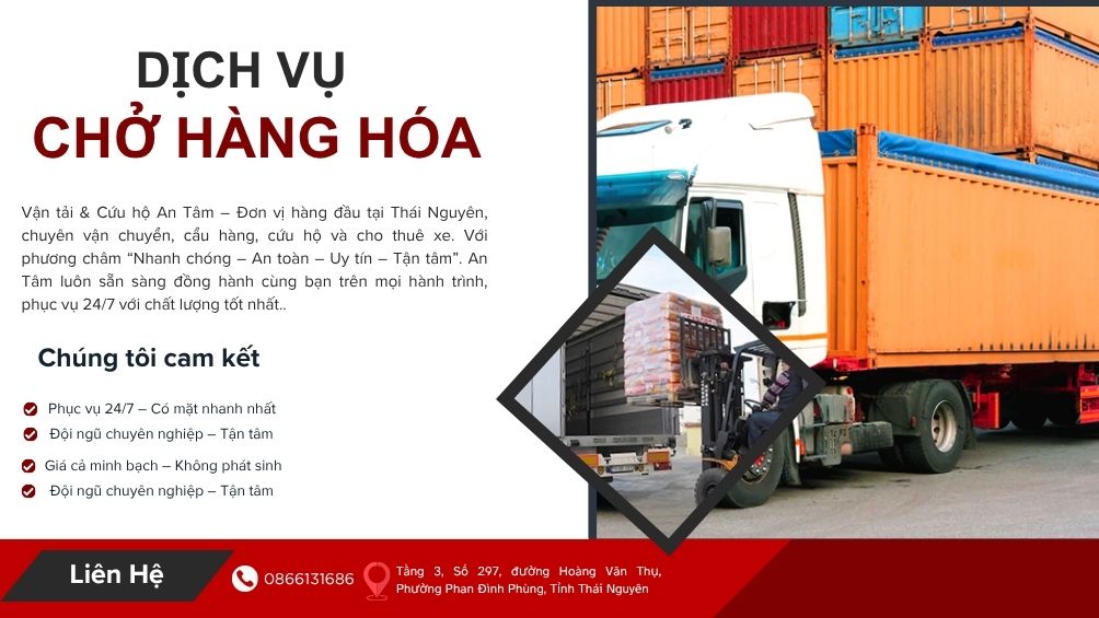 <p style="text-align: center;"><strong>Chở Hàng Hóa</strong></p>